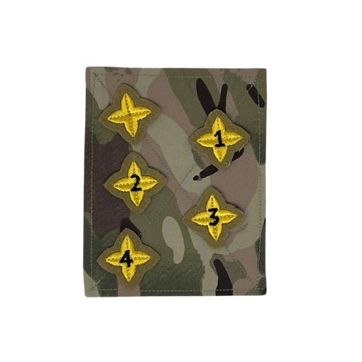 Picture of CCF Stars