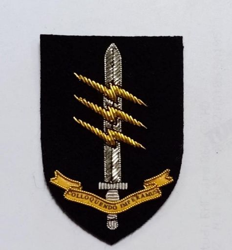 Picture of Beret Badge - 18 Sigs SF Communicator - Embroidered