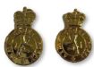 Picture of ACF No1 Dress - Collar Badges - Gilt Plate - Shank & Pin Fitting - Tudor Crown - Pair