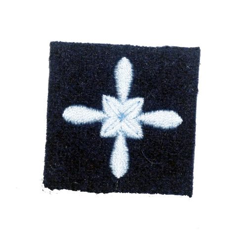 Picture of Air Cadets - Aviation Badge - Senior Cadet (Pack of 10)-RAF Backing 