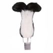 Picture of SCOTS Blackcock Feather Plume