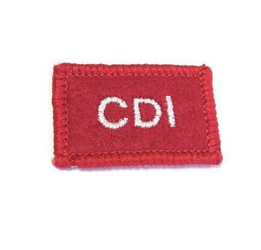 Picture of Cadet Drill Instructor Course Badge (Pack of 10)