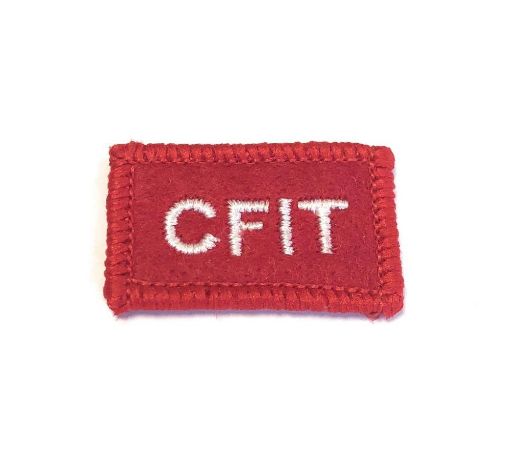 Picture of Cadet Forces Instructional Techinques Badge (Pack of 10)