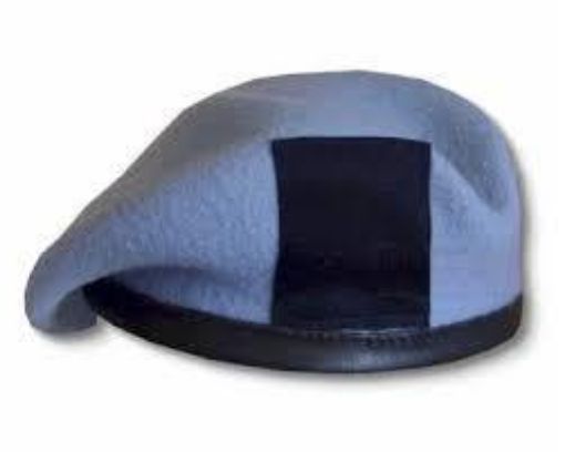 Picture of The Army Air Corps Beret Badge Backing Only - Navy B/G