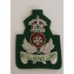 Picture of Intelligence Corps Beret Badge - B/W - Green background - Tudor Crown
